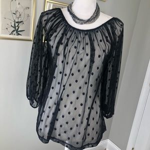 Ann Taylor LOFT Black Sheer Top